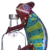 Absolut chameleon
