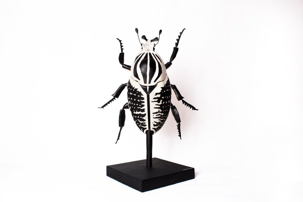 Goliath beetle (2015).
