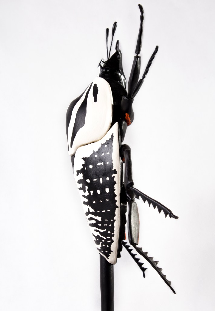 Goliath beetle, side view.