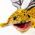 Leopoldo, the hybrid gecko.