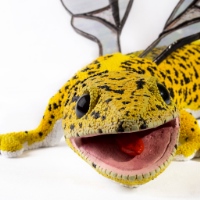 Leopoldo, the hybrid gecko.