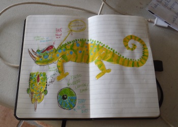 Sketch of the Jackson chameleon