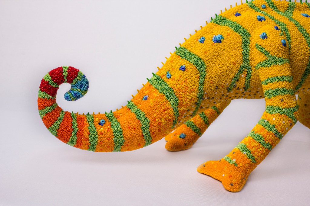 Detail. Jackson's tail.