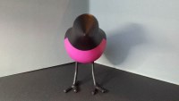 Black and pink birdie.