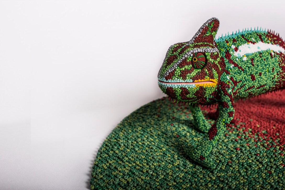 Charles detail. Photo by Pamela Daryl Hernández Magaña