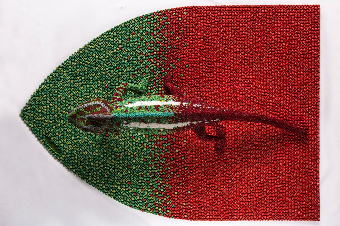 Charles from above. Photo by Pamela Daryl Hernández Magaña