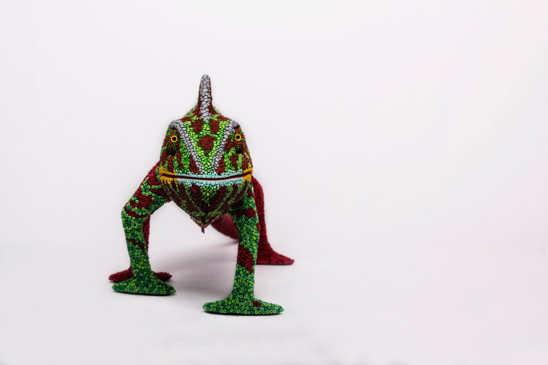 Charles front view. Photo by Pamela Daryl Hernández Magaña