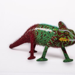 A Chameleon at Harvard