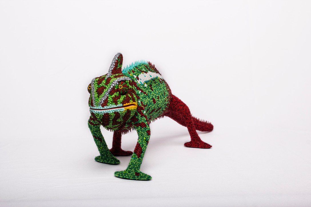 Charles view from the front.