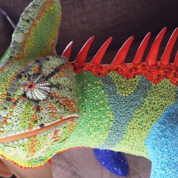 Mimus, an award-winning chameleon