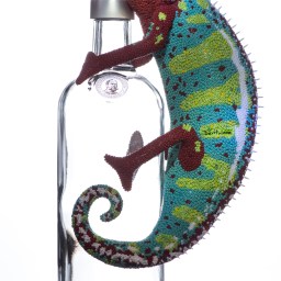 Absolut Chameleon
