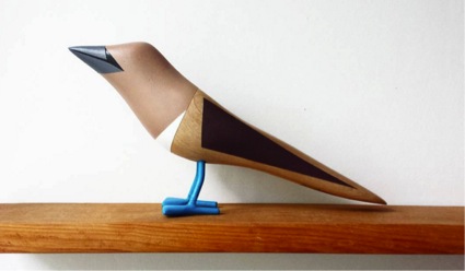 Blue-footed booby, Sula nebouxii. Post-natural-disaster wood.