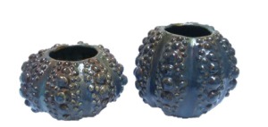 Conchas, ceramics by Teresa Rivero Valls.