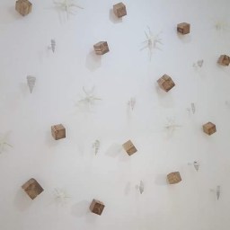 La sal de la vida – hasta el 30 de julio 2017