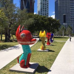 Xico – building bridges in Miami