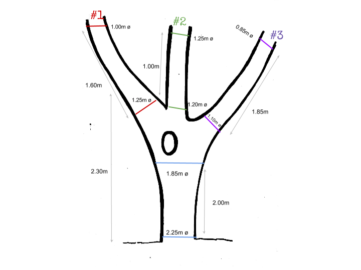 Measurements of three number 1.