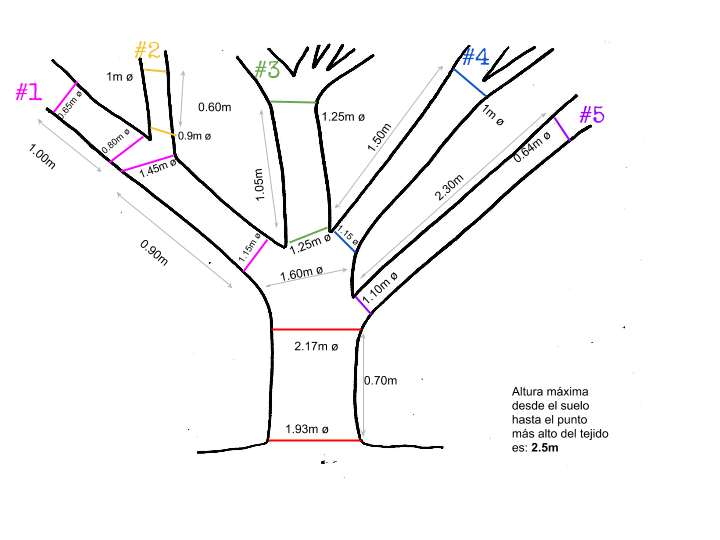 Measurements of three number 2.