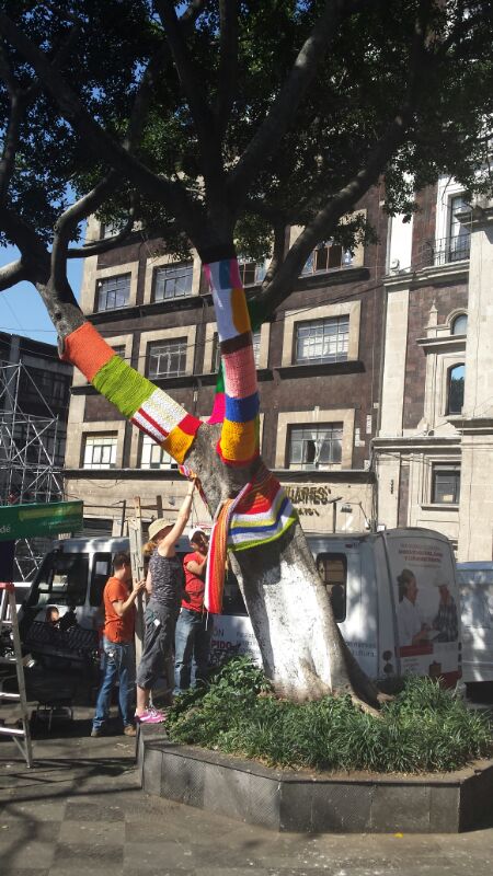 Historias de Estambres - un pedacito por Morelos. Photo by Ann Mari Castell.