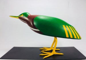 La garceta verde (Butorides virescens).