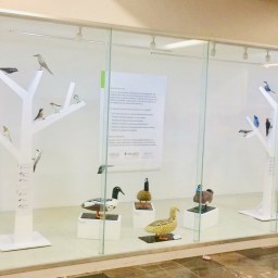 On exhibit now: the Subway Station Exhibition – Birds of Mexico City