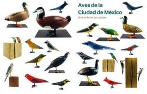 Aves de la Ciudad de México, a symphony of colors. Sustainable art in the Chapultepec Zoo.