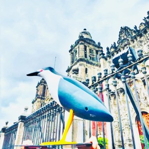 The black-crowned night heron (Nycticorax nycticorax)