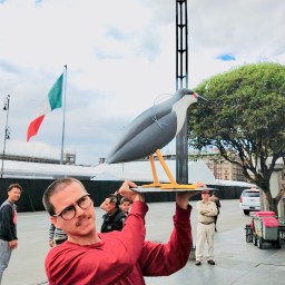 Chapultepec Zoo: Birds of Mexico City, a symphony of colors