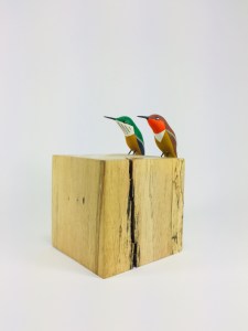 Hummingbirds, pair of Zumbador Rufo