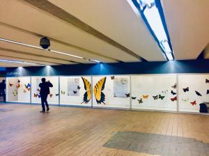 Butterflies of Mexico City in the Coyoacán metro station, CDMX.