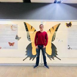 Butterflies of Mexico City, a multicolored flapping in the metro