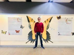 Butterflies of Mexico City by Davit Nava, in the Coyoacán metro station, CDMX.