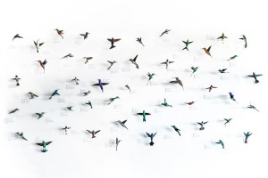Hummingbirds of North America. Sustainable art by Davit Nava.