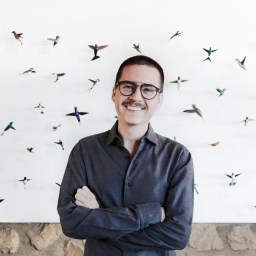 The smallest birds on Earth – hummingbirds