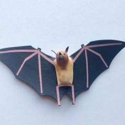 Every day is Earth Day