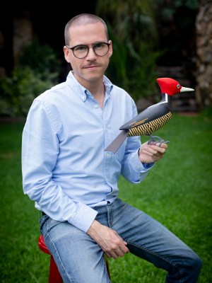 Davit Nava, sustainable art, woodpecker