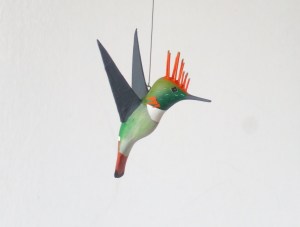 Colibrí Coqueta de Atoyac, Lophornis brachylophus.